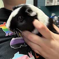 Thumbnail photo of Bessie #2