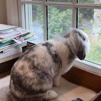 Thumbnail photo of Josephine #3