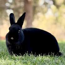 Thumbnail photo of LeBun James #2