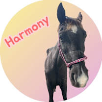 Thumbnail photo of Harmony #3