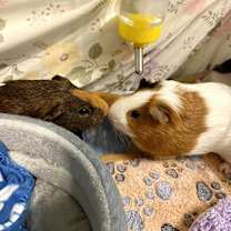 Thumbnail photo of Frederick #1