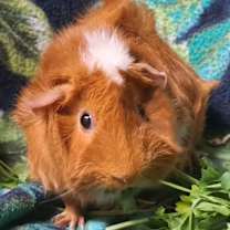 Thumbnail photo of Mary #2