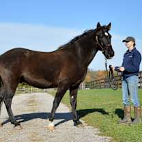 Thumbnail photo of Coined Spirit (Carl) #1