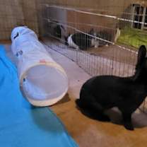 Thumbnail photo of Louis Bunnington #4