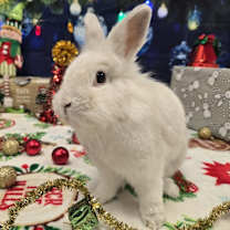 Thumbnail photo of Tyler #2