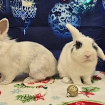 Thumbnail photo of Tyler #3