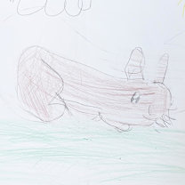 Thumbnail photo of Bugs #2