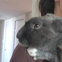 Thumbnail photo of Crystal Hot Sauce #2