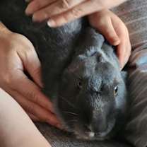 Thumbnail photo of Crystal Hot Sauce #4