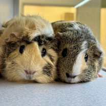 Thumbnail photo of Wilma #2