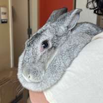 Thumbnail photo of Crystal #3