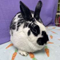 Thumbnail photo of Tara #3