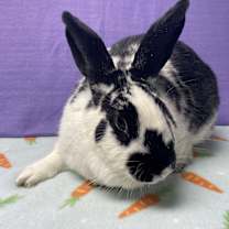 Thumbnail photo of Tara #4