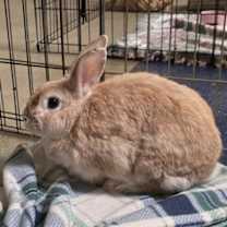 Thumbnail photo of Esme #1