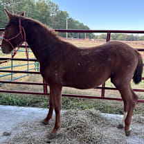 Thumbnail photo of Liam #2