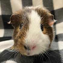 Thumbnail photo of Anders #3