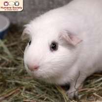 Thumbnail photo of Winter #1