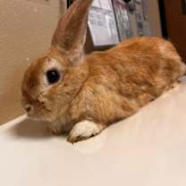 Thumbnail photo of Esme #2