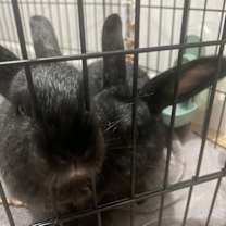 Thumbnail photo of Sophia & Louise #3