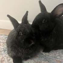 Thumbnail photo of Sophia & Louise #4