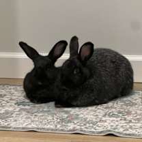 Thumbnail photo of Louise & Sophia #3