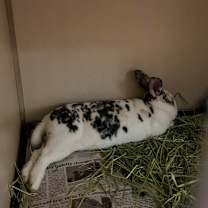 Thumbnail photo of Tucker *VIP* w/ Dolly #2