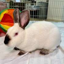 Thumbnail photo of Natalie / Nathan #4