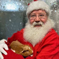 Thumbnail photo of Gopher #1