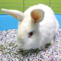 Thumbnail photo of Snow #1