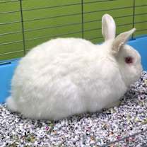 Thumbnail photo of Snow #2