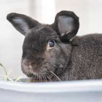 Thumbnail photo of Camilla  #1