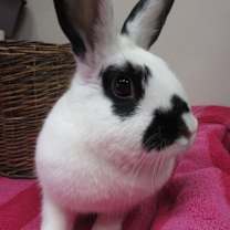 Thumbnail photo of Sharon #4