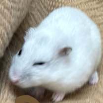 Thumbnail photo of Cloud #2