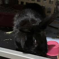 Thumbnail photo of Charlevoix #2