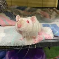 Thumbnail photo of Nancy #1