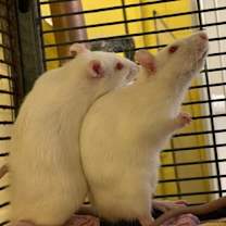 Thumbnail photo of Nancy #2