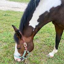 Thumbnail photo of Diamond #2