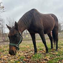 Thumbnail photo of Jasmine - We Will Dance #3