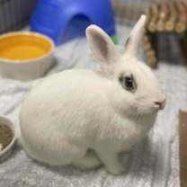 Thumbnail photo of Kit #3