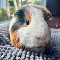 Thumbnail photo of Frederick #4