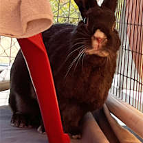 Thumbnail photo of BUBBLES #4