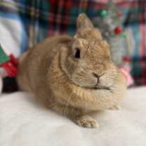 Thumbnail photo of Andrea #2