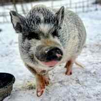 Thumbnail photo of Martha #1