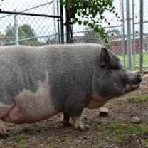 Thumbnail photo of Martha #4