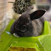 Thumbnail photo of 59581233 #1