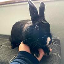 Thumbnail photo of Maddie #1