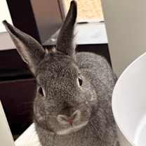 Thumbnail photo of Tambor #1