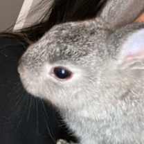 Thumbnail photo of Tambor #2