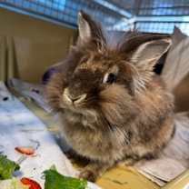 Thumbnail photo of Livre #1