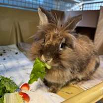 Thumbnail photo of Livre #2